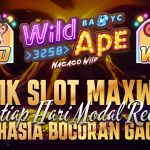 Menang Banyak di Slot Wild Ape #3258: Kisah Nyata Para Pemburu Cuan yang Berjaya!